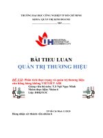 TIỂU LUẬN đề tài phân tích thực trạng và quản trị thương hiệu của hãng hàng không VIETJET AIR 