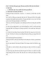 TIỂU LUẬN trình bày tổng quan quan thương mại điện tử (bối cảnh trên thế giới và việt nam)