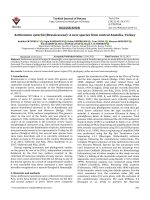 Aethionema aytachii (Brassicaceae): A new species from central Anatolia, Turkey