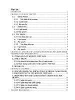 Cạnh tranh và độc quyền trong nền kinh tế thị trường ở Việt Nam hiện nay