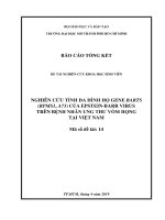 Nghiên cứu tính đa hình họ gene barts (rpms1, 73) cảu epstein   barr virus trên bệnh nhân ung thư vòm họng tại việt nam đề tài nghiên cứu khoa học  