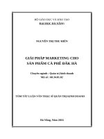 GIẢI PHÁP MARKETING CHO SẢN PHẨM CÀ PHÊ ĐĂK HÀ