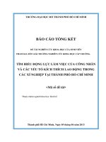 Tìm hiểu động lực làm việc của công nhân và các yếu tố kích thích lao động trong các xí nghiệp tại thành phố hồ chí minh nghiên cứu khoa học  