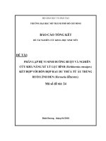 Phân lập hệ vi sinh đường ruột và nghiên cứu khả năng xử lý lục bình (eichhornia crassipes) kết hợp với hỗn hợp rau dư thừa từ ấu trùng ruồi lính đen (hermetia illucens) nghiên cứu khoa học  