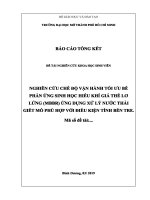 Nghiên cứu chế độ vận hành tối ưu bể phản ứng sinh học hiếu khí giá thể lơ lửng (mbbr) để ứng dụng xử lý nước thải giết mổ phù hợp với điều kiện tỉnh bến tre đề tài nghiên cứu khoa học  