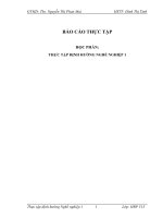 báo cáo thực tập định hướng nghề nghiệp chuyên viên