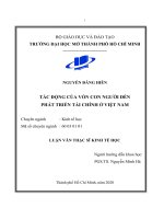 Tác động của vốn con người đến phát triển tài chính ở việt nam  