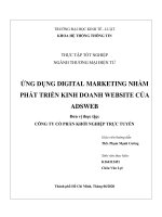 ỨNG DỤNG DIGITAL MARKETING NHẰM PHÁT TRIỂN KINH DOANH WEBSITE CỦA ADSWEB Đơn vị thực tập CÔNG TY CỔ PHẦN KHỞI NGHIỆP TRỰC TUYẾN