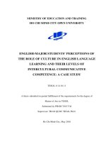 English major students perceptions of the role of culture in english language learning and their levels of intercultural communicative competence   a case study  