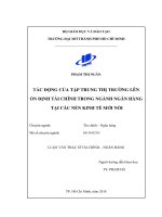 Tác động của tập trung thị trường lên ổn định tài chính trong ngành ngân hàng tại các nền kinh tế mới nổi1  