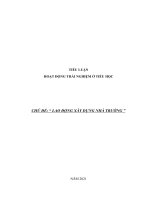 TIỂU LUẬN HOẠT ĐỘNG TRẢI NGHIỆM Ở TIỂU HỌC: CHỦ ĐỀ: “ LAO ĐỘNG XÂY DỰNG NHÀ TRƯỜNG ”