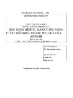 ỨNG DỤNG DIGITAL MARKETING NHẰM PHÁT TRIỂN KINH DOANH WEBSITE của ADSWEB 