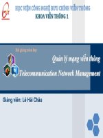 Quản lý mạng viễn thông telecommunication network management 