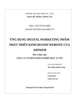 ỨNG DỤNG DIGITAL MARKETING NHẰM PHÁT TRIỂN KINH DOANH WEBSITE của ADSWEB 