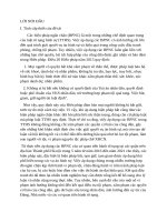 Tiểu luận : BIỆN PHÁP NGĂN CHẶN TRONG TỐ TỤNG HÌNH SỰ