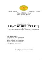 TIỂU LUẬN môn LUẬT sở hữu TRÍ TUỆ đề tài các đối TƯỢNG KHÁC của QUYỀN sở hữu CÔNG NGHIỆP 