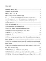 Khảo sát hành vi sử dụng truyền thông xã hội của người dân Thành phố Huế và đề xuất ứng dụng marketing truyền thông xã hội
