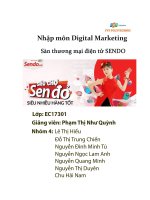 nhập môn digital marketing sàn thương mại điện tử sendo công ty cổ phần công nghệ sen đỏ  