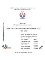 TIỂU LUẬN môn học PHÁP LUẬT đại CƯƠNG HÌNH THỨC CHÍNH THỂ của một số nước TRÊN THẾ GIỚI 