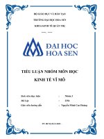 TIỂU LUẬN NHÓM môn học KINH tế vĩ mô lạm PHÁT ở VENEZUELA 