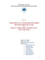 ẢNH HƯỞNG CỦA VĂN HOÁ DOANH NGHIỆP ĐẾN HOẠT ĐỘNG QUẢN TRỊ TẠI CÔNG TY TNHH NƯỚC GIẢI KHÁT COCA-COLA VIỆT NAM