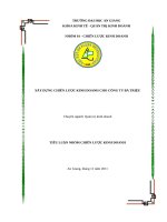 CHIẾN lược KINH DOANH xây DỰNG CHIẾN lược KINH DOANH CHO CÔNG TY bà TRIỆU 