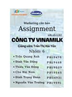 phân tích môi trường marketing và chiến lược marketing hỗn hợp của dòng 