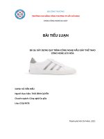 TIỂU LUẬN đề tài xây DỰNG QUY TRÌNH CÔNG NGHỆ mẫu GIÀY THỂ THAO CÔNG NGHỆ lưu hóa 