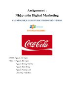 Assignment  nhập môn digital marketing nghiên cứu hoạt động digital marketing COCA COLA 