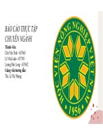 BÁO cáo THỰC tập CHUYÊN NGÀNH xây dựng website bán phụ kiện điện thoại 