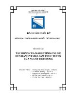 TÁC ĐỘNG của MARKETING ONLINE đến HÀNH VI MUA sắm TRỰC TUYẾN của NGƯỜI TIÊU DÙNG 