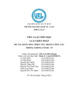 TIỂU LUẬN môn học LUẬT HIẾN PHÁP đề tài HÀNG hóa THIẾT yếu TRONG CÔNG tác PHÒNG CHỐNG COVID   19 