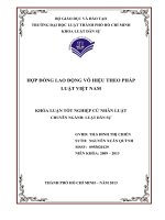 Hợp đồng lao động vô hiệu theo pháp luật việt nam (luận văn thạc sỹ luật học) 