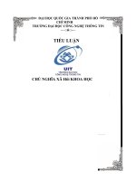 TIỂU LUẬN CHỦ NGHĨA xã hội KHOA học đề tài vấn đề gia đình và việc phòng, chống bạo lực gia đình ở việt nam hiện nay 