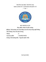 THẢO LUẬN học phần kinh tế môi trường đề tài ảnh hưởng của hoạt động tái chế chì tại làng nghề đông mai (hưng yên) tới môi trường 