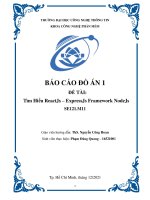 Tìm hiểu reactjs – expressjs framework nodejs SE121 m11 