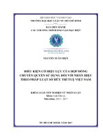 Điều kiện có hiệu lực của hợp đồng chuyển quyền sử dụng đối với nhãn hiệu theo pháp luật sở hữu trí tuệ việt nam 
