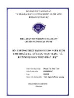 Bồi thường thiệt hại do nguồn nguy hiểm cao độ gây ra  lý luận, thực trạng và kiến nghị hoàn thiện pháp luật (luận văn thạc sỹ luật học) 