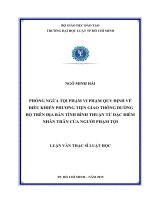 Phòng ngừa tội phạm vi phạm quy định về điều khiển phương tiện giao thông đường bộ trên địa bàn tỉnh bình thuận từ đặc điểm nhân thân của người phạm tội 