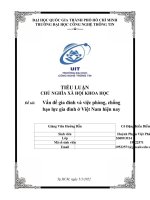 TIỂU LUẬN CHỦ NGHĨA xã hội KHOA học đề tài vấn đề gia đình và việc phòng, chống bạo lực gia đình ở việt nam hiện nay 