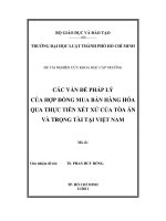 Các vấn đề pháp lý của hộp đồng mua bán hàng hóa qua thực tiễn xét xử của tòa án và trọng tài tại việt nam (luận văn thạc sỹ luật học) 