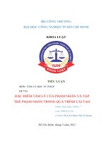 TIỂU LUẬN môn tâm lý học tư PHÁP đề tài đặc điểm tâm lý của PHẠM NHÂN và tập THỂ PHẠM NHÂN TRONG QUÁ TRÌNH cải tạo 