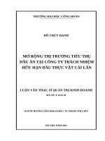 MỞ RỘNG THỊ TRƯỜNG TIÊU THỤ DẦU ĂN TẠI CÔNG TY TRÁCH NHIỆM HỮU HẠN DẦU THỰC VẬT CÁI LÂN