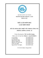 TIỂU LUẬN môn học LUẬT HIẾN PHÁP đề tài HÀNG hóa THIẾT yếu TRONG CÔNG tác PHÒNG CHỐNG COVID   19 