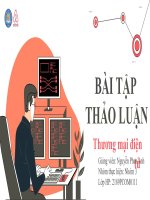 THẢO LUẬN TMU Thương mại điện tử PHÂN TÍCH MÔ HÌNH KINH DOANH  CÁC YẾU TỐ MÔ HÌNH KD WEBSITE AIRBNB.COM