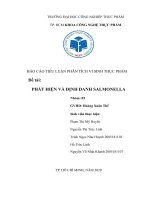 TIỂU LUẬN PHÂN TÍCH VI SINH THỰC PHẨM đề tài PHÁT HIỆN và ĐỊNH DANH SALMONELLA 