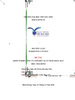 TIỂU LUẬN MARKETING căn bản đề tài KHỞI NGHIỆP CÔNG TY CHẾ BIẾN XUẤT NHẬP KHẨU hạt điều THÁI BÌNH 