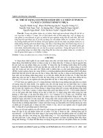 Xu thế sử dụng sản phẩm chăm sóc cá nhân ở Tp. HCM và nguy cơ phát sinh vi nhựa