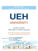 TIỂU LUẬN phân tích quy trình chuỗi cung ứng của công ty cổ phần thực phẩm sữa TH 