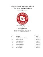 BÀI tập NHÓM môn TIN học đại CƯƠNG lập kế hoạch kinh doanh cho công ty cổ phần sao thái dương 